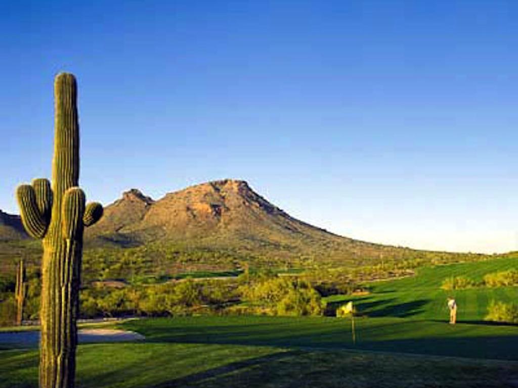 Gated Mountain View Resort Community, Centrally Located, Three Heated Pool-Spa Complexes, Half-Mile To Hiking! Phoenix Exteriör bild